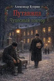 Обложка книги Путаница. Чудесный доктор