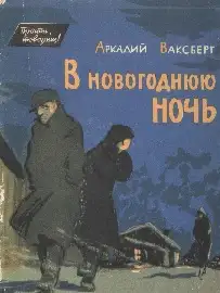 Обложка книги В новогоднюю ночь