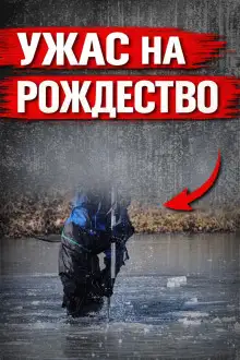 Обложка книги Исчезла в Рождество