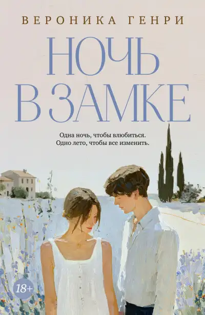 Обложка книги Ночь в замке