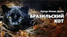 Обложка книги Бразильский кот