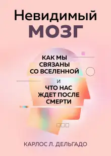 Обложка книги Невидимый мозг. Как мы связаны со Вселенной и что нас ждет после смерти