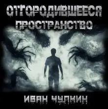 Обложка книги Отгородившееся пространство
