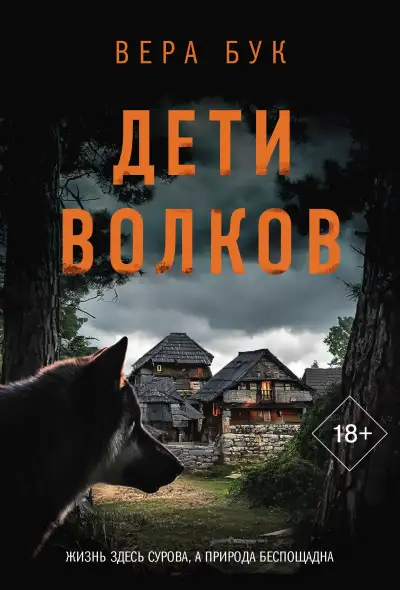 Обложка книги Огонь. Эйвери и Ривер