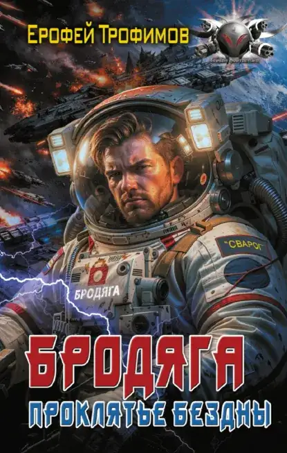 Обложка книги Бродяга 04. Проклятье бездны