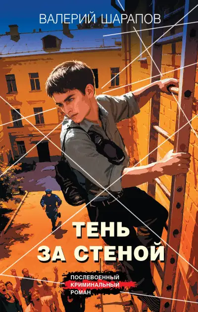 Обложка книги Тень за стеной