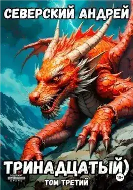 Обложка книги Тринадцатый. Том 3