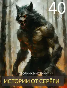 Обложка книги Истории от Серёги №40