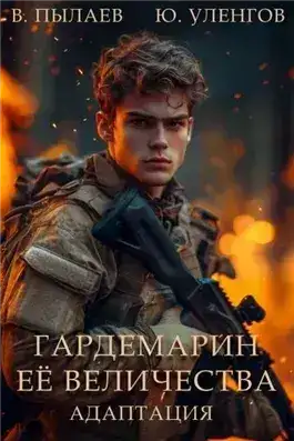 Обложка книги Адаптация