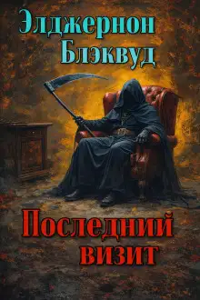 Обложка книги Последний визит