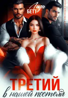 Обложка книги Третий в нашей постели