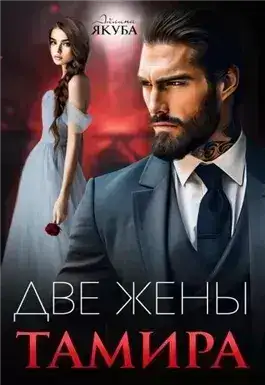 Обложка книги Две жены Тамира