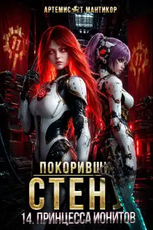 Обложка книги Покоривший СТЕНУ 14: Принцесса ионитов