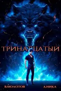Обложка книги Тринадцатый. Том IV