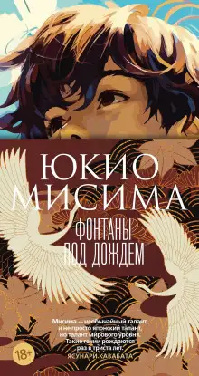 Обложка книги Фонтаны под дождём