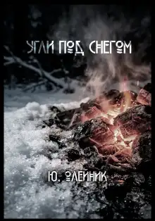 Обложка книги Угли под снегом