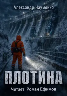 Обложка книги Плотина