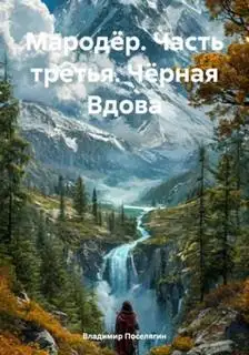 Обложка книги Чёрная Вдова