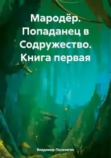 Обложка книги Попаданец в Содружество