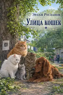 Обложка книги Улица кошек
