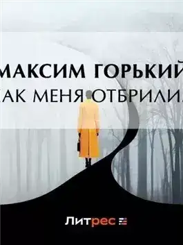 Обложка книги Как меня отбрили…