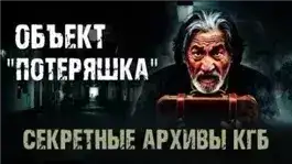 Обложка книги Объект "Потеряшка"