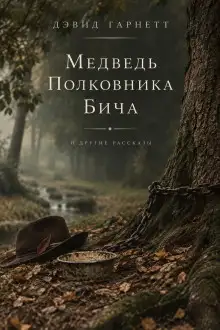 Обложка книги Медведь полковника Бича