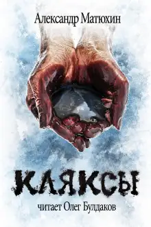 Обложка книги Кляксы