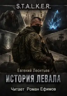 Обложка книги S.T.A.L.K.E.R. История Левала