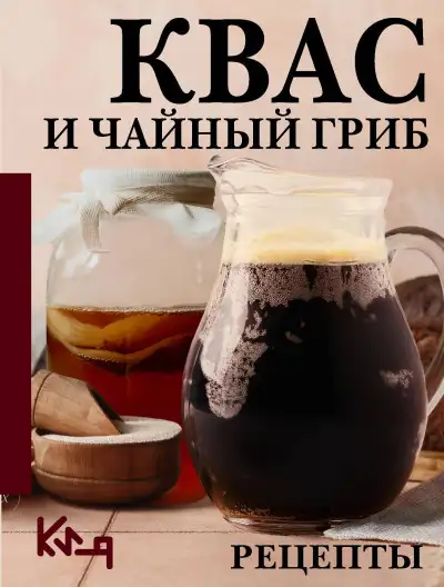 Обложка книги Квас и чайный гриб. Рецепты