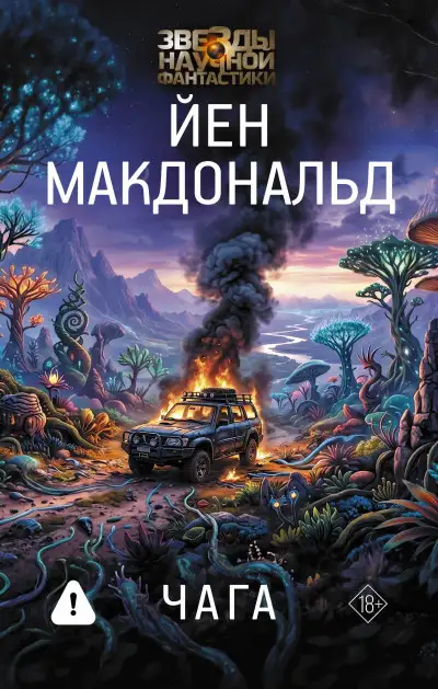 Обложка книги Чага