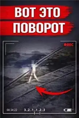 Обложка книги Убийца в парике