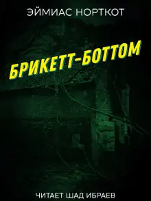 Обложка книги Брикетт-Боттом