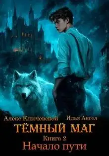 Обложка книги Тёмный маг 02. Начало пути