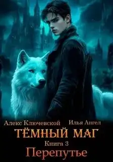 Обложка книги Тёмный маг 03. Перепутье