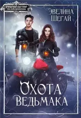 Обложка книги Охота на ведьмака