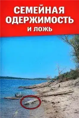 Обложка книги Семейная одержимость и ложь