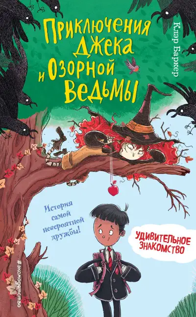 Обложка книги Удивительное знакомство