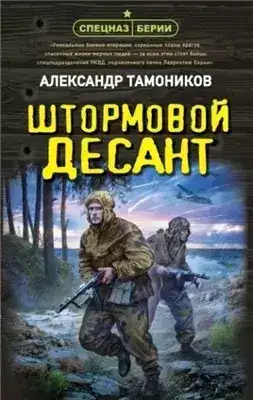 Обложка книги Штормовой десант
