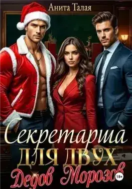 Обложка книги Секретарша для двух Дедов Морозов