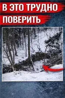 Обложка книги Оранжевое свечение у дороги