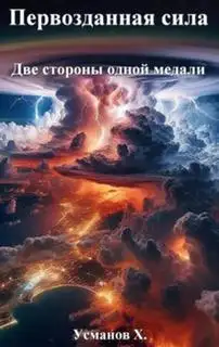 Обложка книги Две стороны одной медали