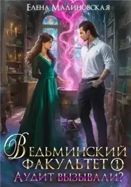 Обложка книги Аудит вызывали?