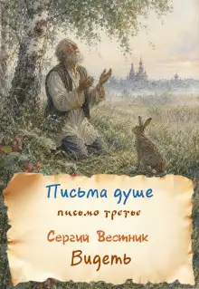 Обложка книги Видеть