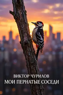 Обложка книги Мои пернатые соседи
