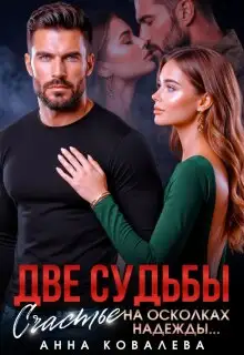 Обложка книги Две судьбы. Счастье на осколках надежды