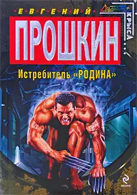 Обложка книги Истребитель «Родина»