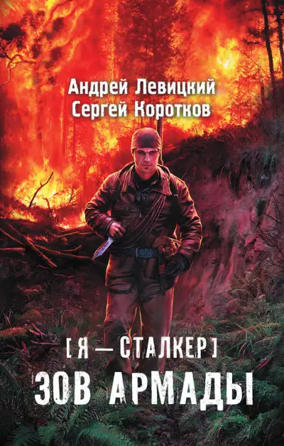 Обложка книги Зов Армады