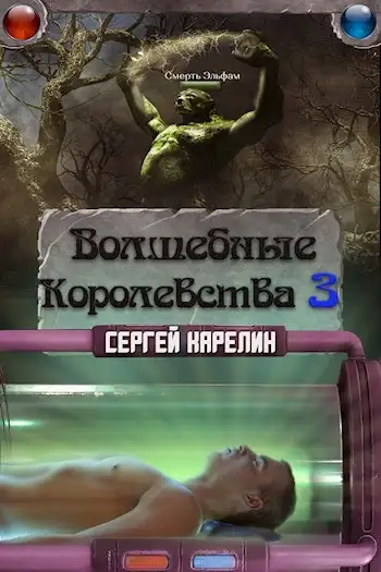 Обложка книги Волшебные Королевства 3