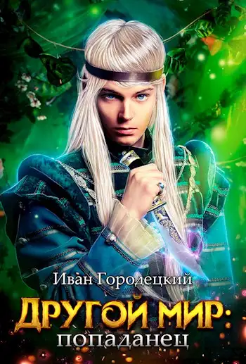 Обложка книги Попаданец